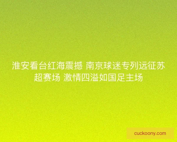 淮安看台红海震撼 南京球迷专列远征苏超赛场 激情四溢如国足主场 淮安看台红海震撼 南京球迷专列远征苏超赛场 激情四溢如国足主场